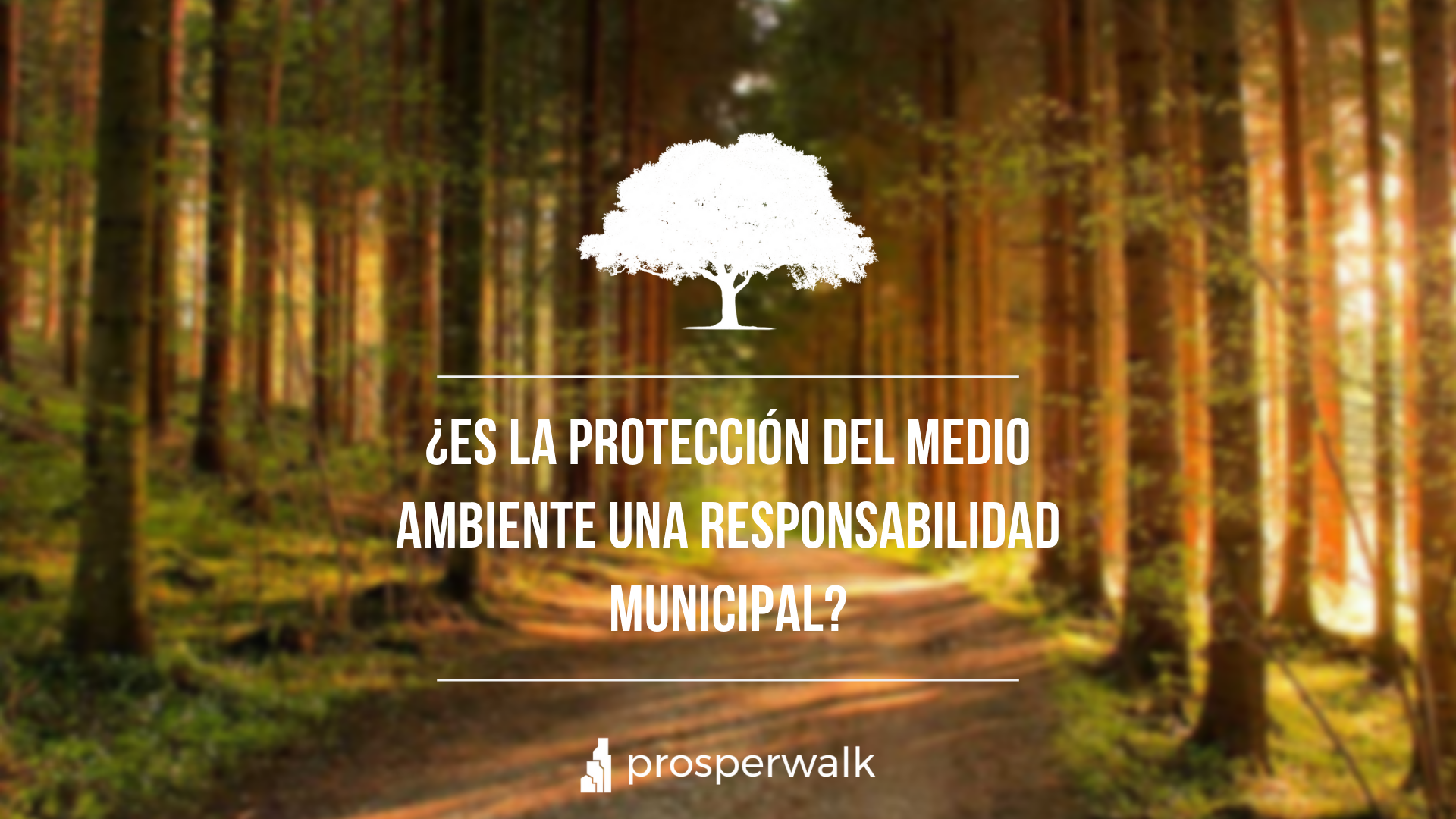 Medio ambiente ¿Responsabilidad del municipio?